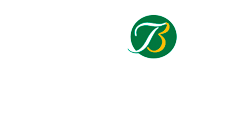 Tiedemann-Bevs Logo