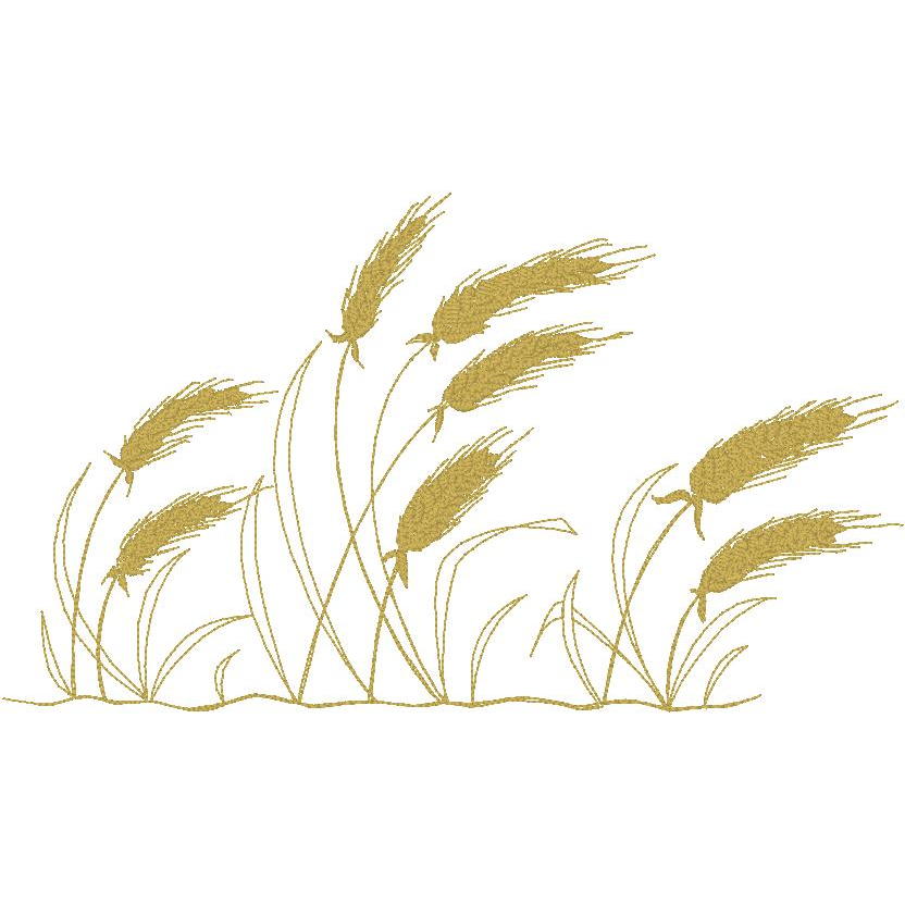 Blowing Wheat (PM)