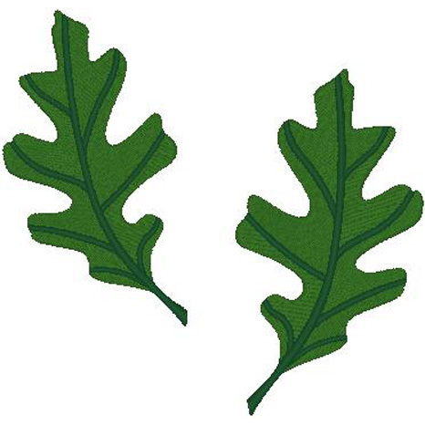 2 Small Oak Leaves