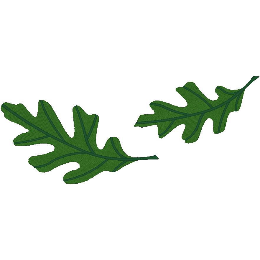2 Large Oak Leaves