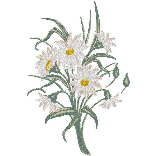 Balboa Daisies (PM)