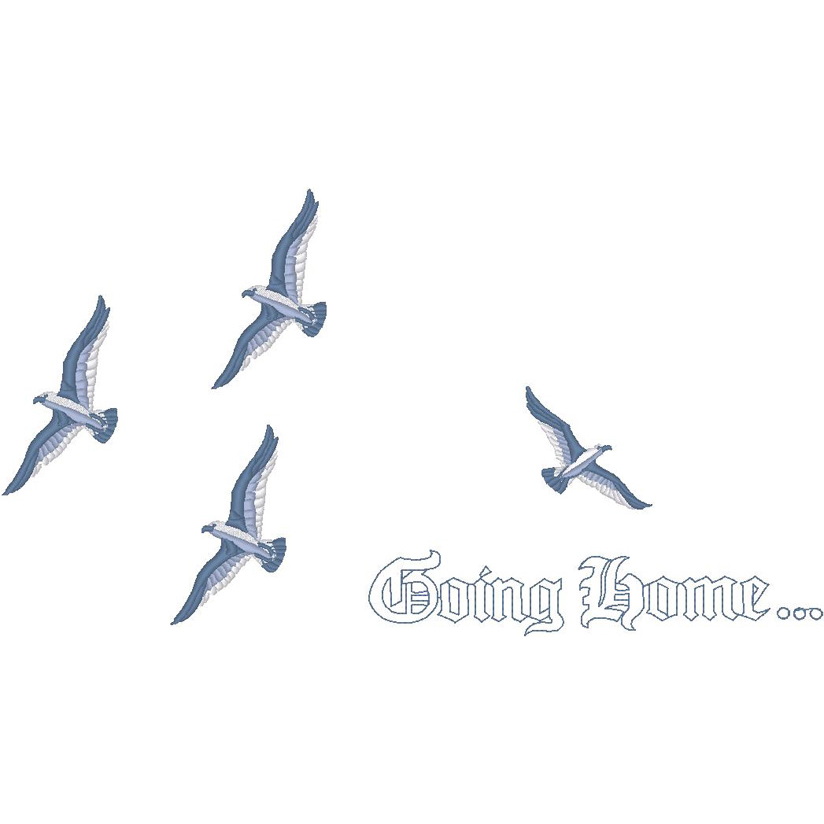 Birds Going Home (PM)